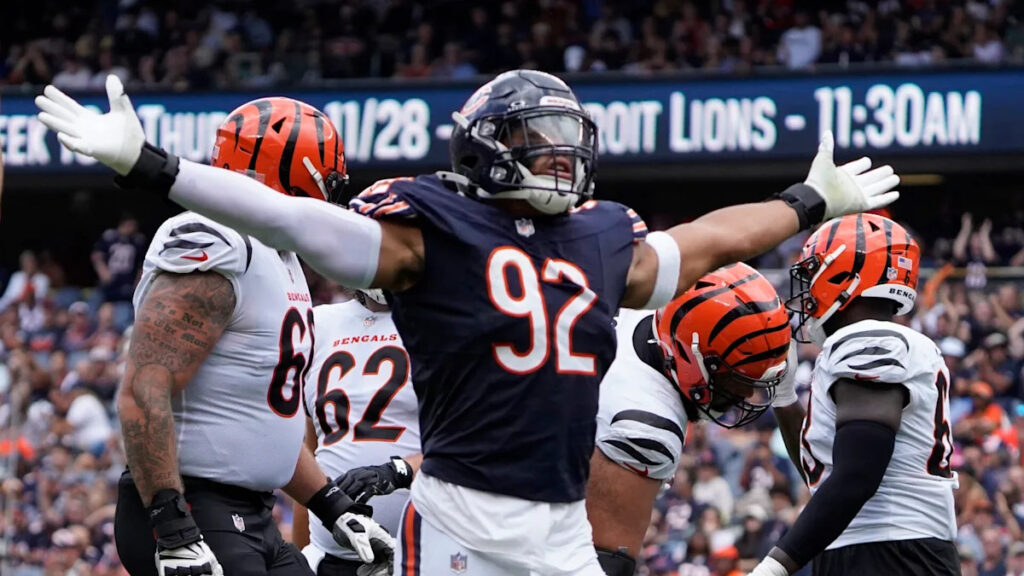 Bears to re-sign Daniel Hardy