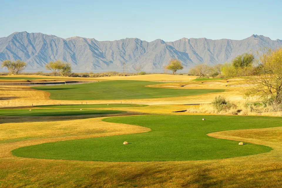 whirlwind-cattail-fourteen