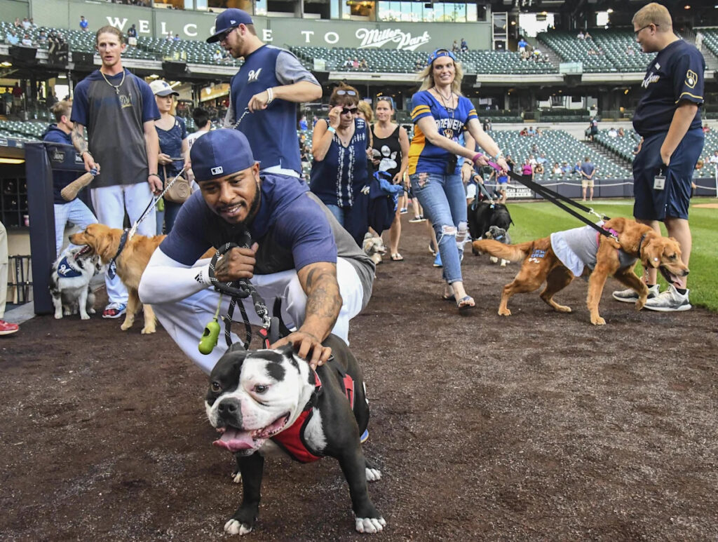Brewers announce 2026 theme nights, single-game ticket sale date