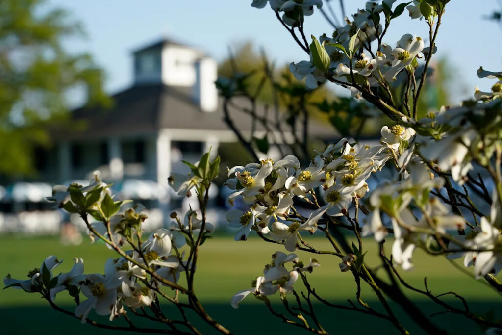 Masters will have no shortage of options for television viewers