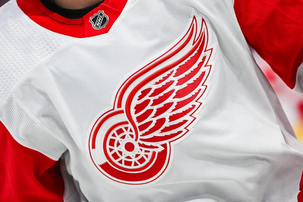 Red Wings Reassign Swedish Defenseman To Finish Season With AHL Grand Rapids