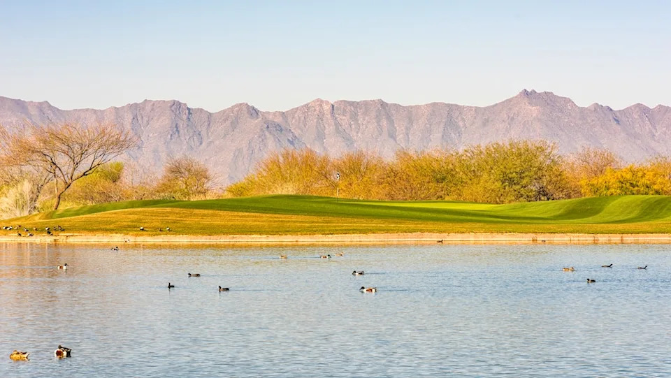 whirlwind-cattail-tenth