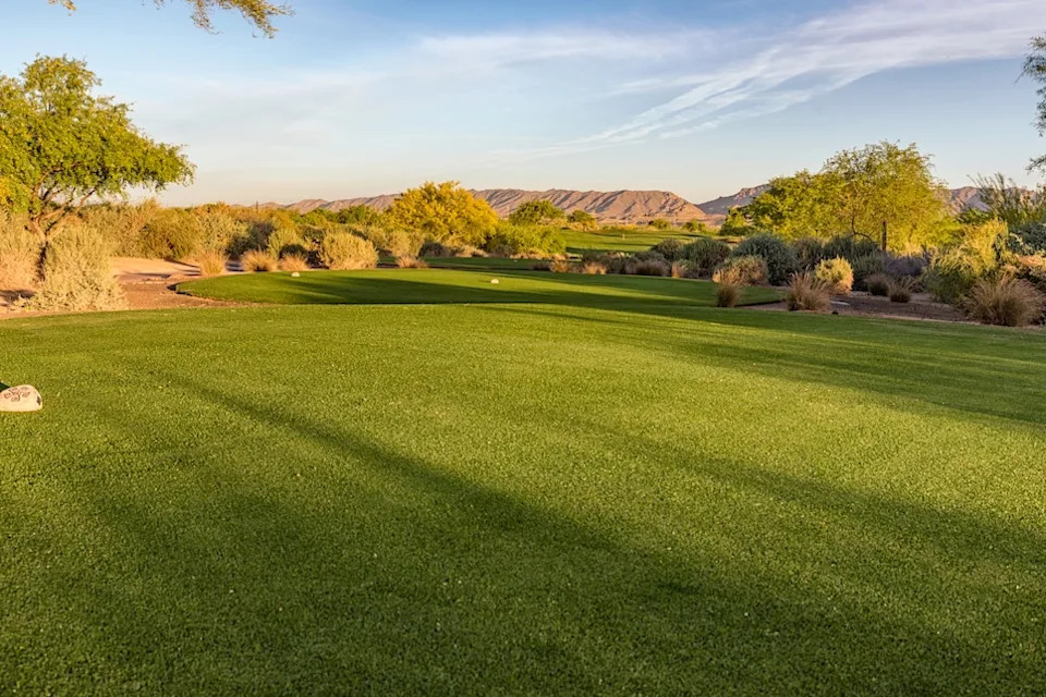 whirlwind-cattail-first