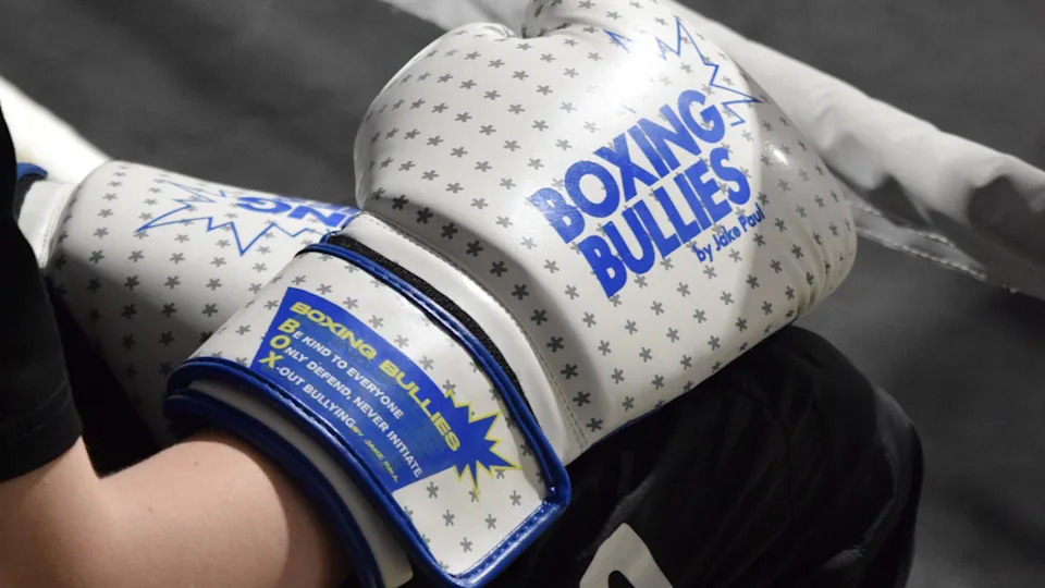 The image shows a white and blue boxing glove with grey stars, Boxing Bullies by Jake Paul is written on the front of the glove in blue writing.