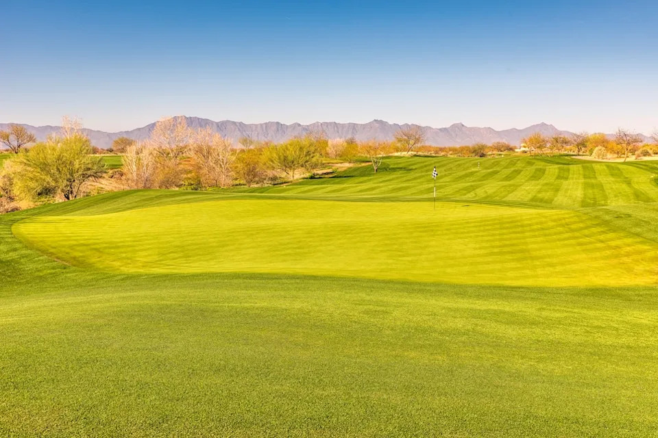 whirlwind-cattail-eleventh