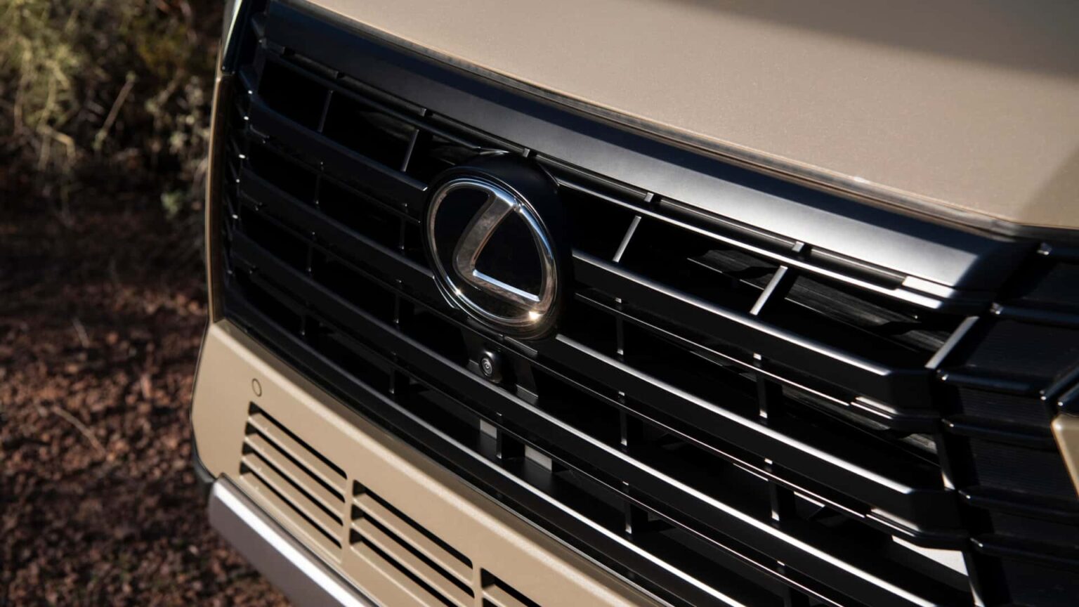 20% Paying ,000 A Month 20% Paying ,000 A Month