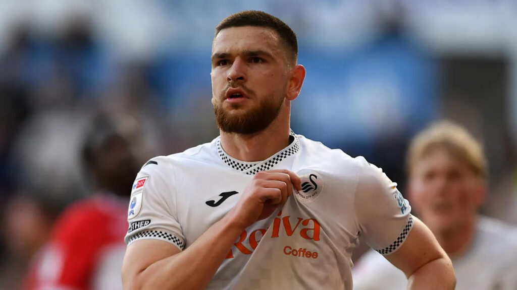 Rival clubs keen on Swansea’s Vipotnik – Matos