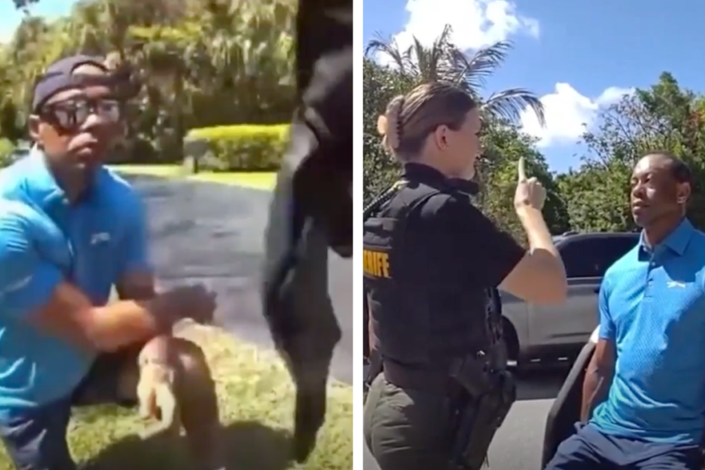 Tiger Woods reels off laundry list of medications he took before rollover crash