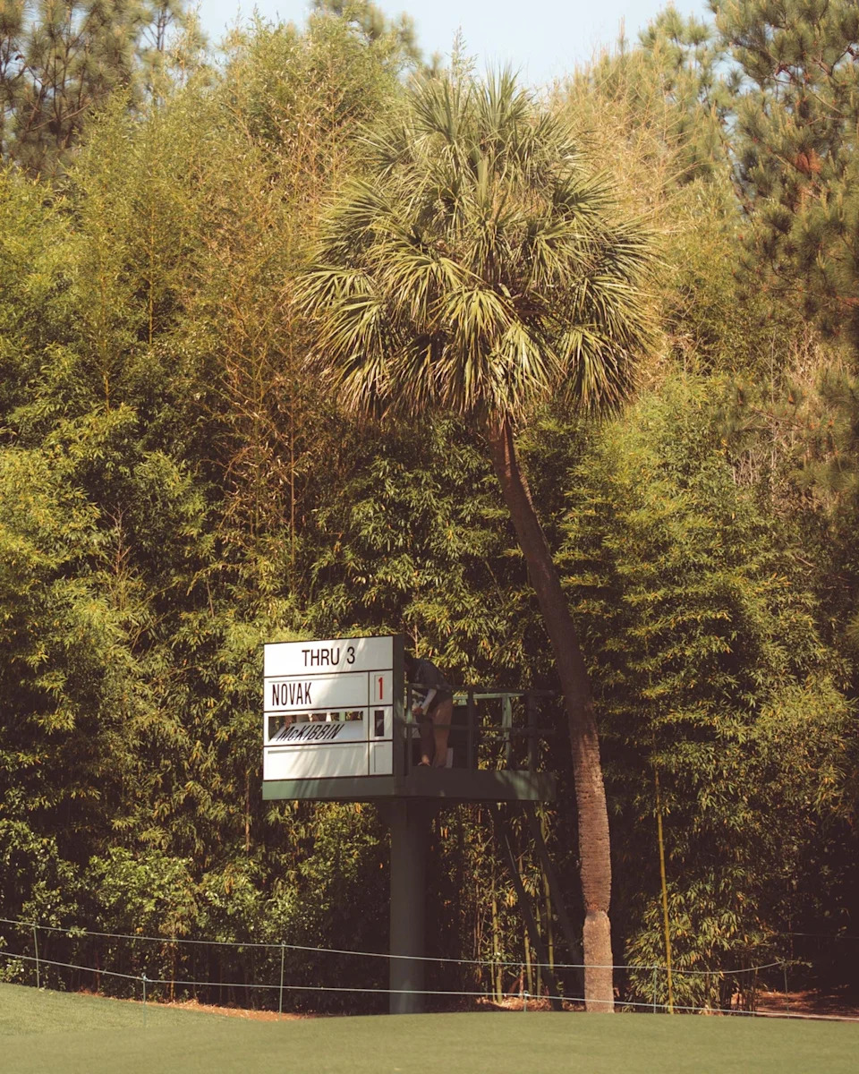 A golf tournament scoreboard elevated among dense trees at Augusta National shows player Novak with a score of 1 through 3 holes on a sunny day. Fans who walked all 18 enjoy the picturesque scene.