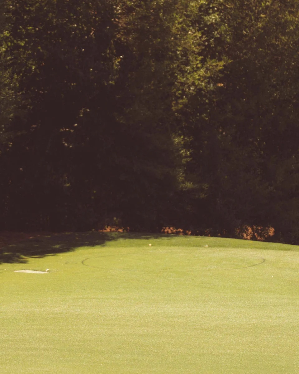 A green golf putting surface with a faint circular outline and a sand trap on the left, surrounded by dense trees under bright sunlight, evokes the iconic beauty of Augusta National—perfect for anyone who's walked all 18 in search of golf perfection.