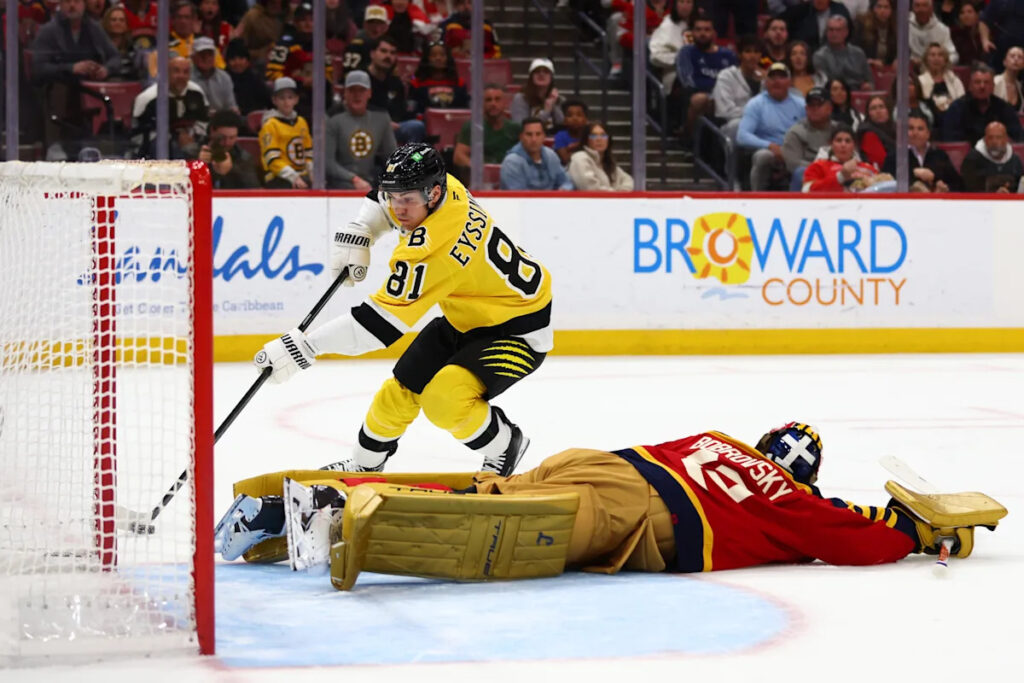 Public Skate: Bruins vs. Panthers