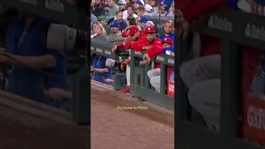 Huge rat crashes Cubs game at Wrigley Field! #mlbhighlights
