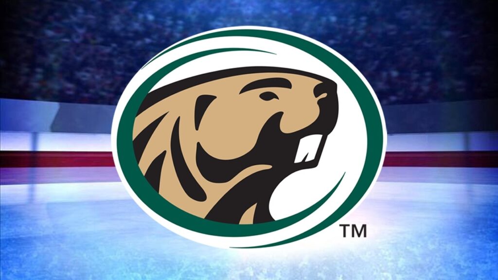 BSU Hockey Sees Multiple Roster Changes During Transfer Portal Period | Lakeland News