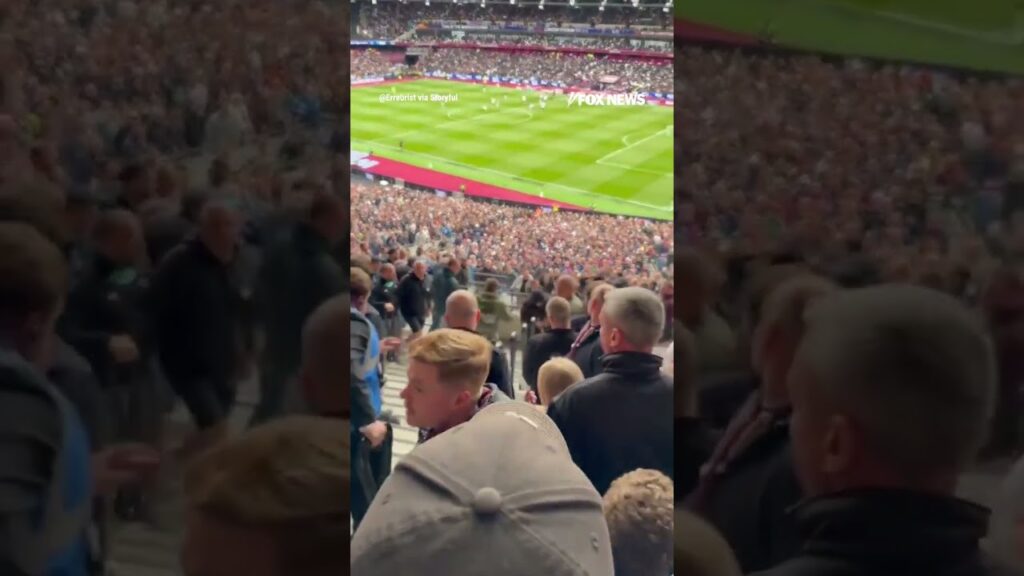 WATCH: Brawl breaks out at Premier League match #foxnews #news #shorts #soccer #fighting
