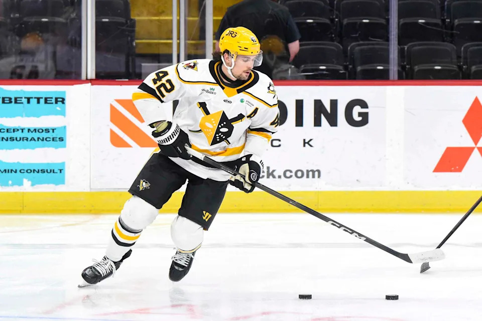 Kelly Cup Playoffs: Wheeling Nailers Take Game 1 Against Mariners In OT