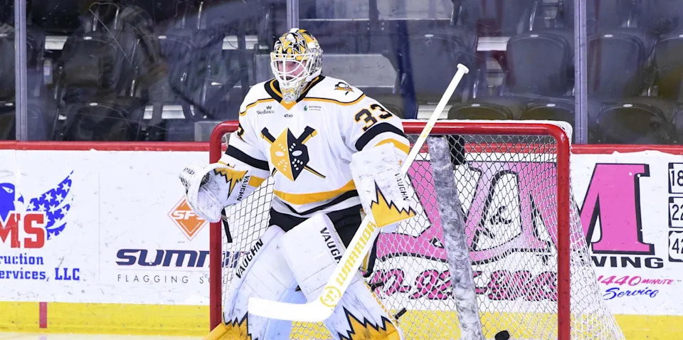 Kelly Cup Playoffs: Wheeling Nailers Advance To Second Round With Thrilling Double OT Win Over Reading Royals