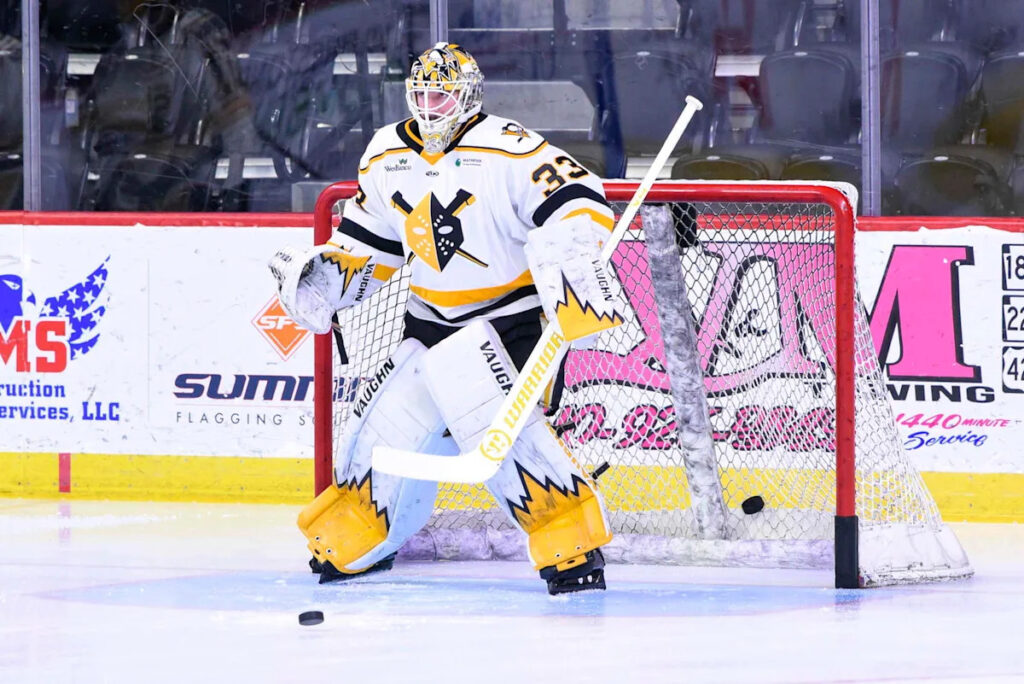 Kelly Cup Playoffs: Wheeling Nailers Advance To Second Round With Thrilling Double OT Win Over Reading Royals