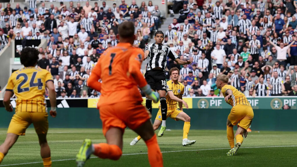 Newcastle 3-1 Brighton: Magpies end skid, Seagulls’ unbeaten run