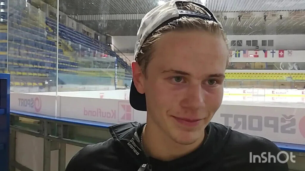 CBJ Draft Day Targets: Elton Hermansson