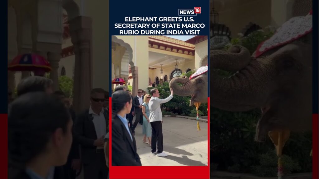 Marco Rubio and US Ambassador Receive Traditional Welcome in Rajasthan | N18S