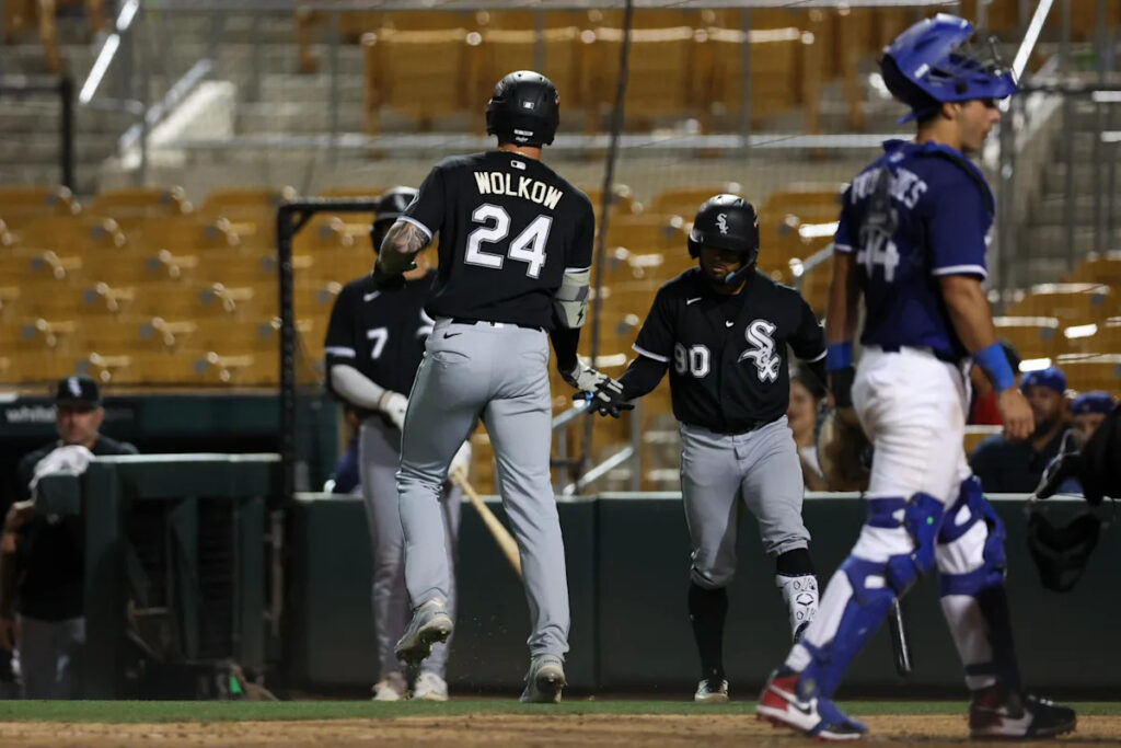 White Sox Minor League Update: June 24, 2026