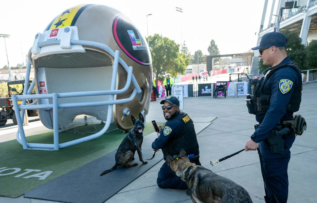 49ers News: The dog days of NFL summer can be ruff 49ers News: The dog days of NFL summer can be ruff