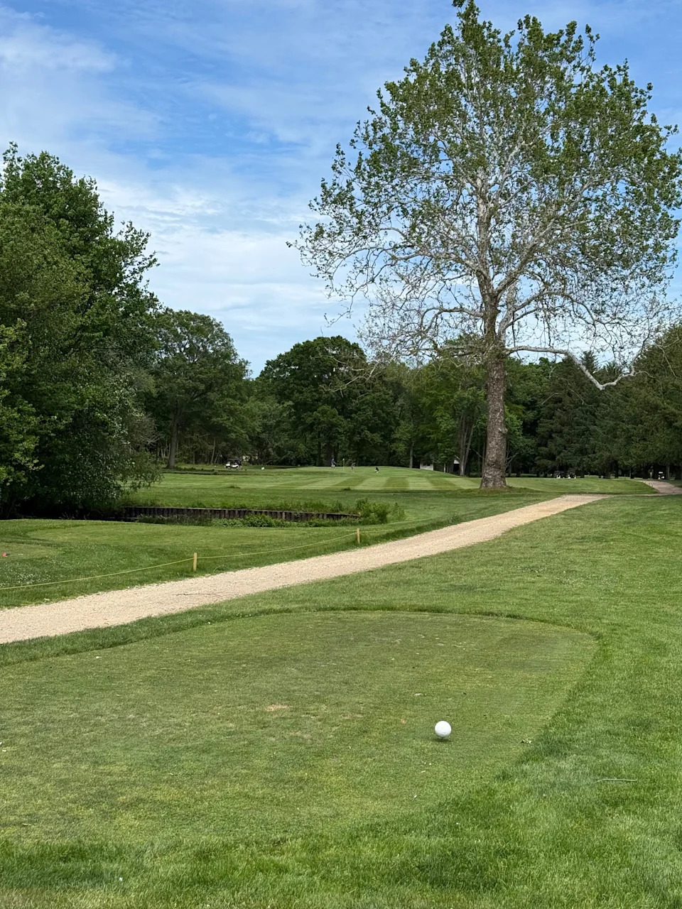 The 11th has an imposing tree obstacle at Cruz Golf Country Club, 55 Birdsall Road, Farmingdale, New Jersey.