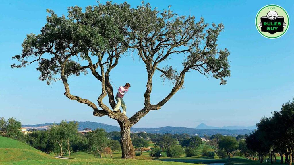 Rules Guy: Is it legal to lean on a tree for support while hitting?