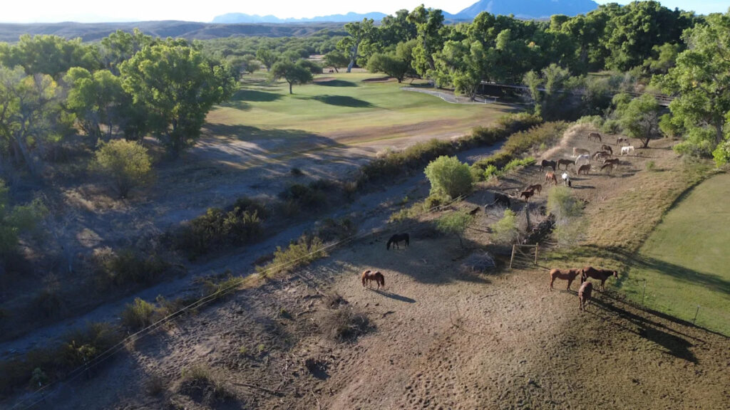 Southern Arizona golf delivers charm, surprises, some Hollywood history Southern Arizona golf delivers charm, surprises, some Hollywood history