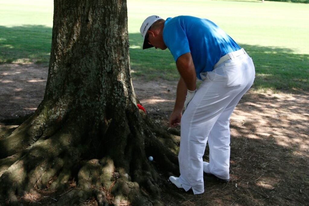 Why so many golf clubs are cutting down their trees