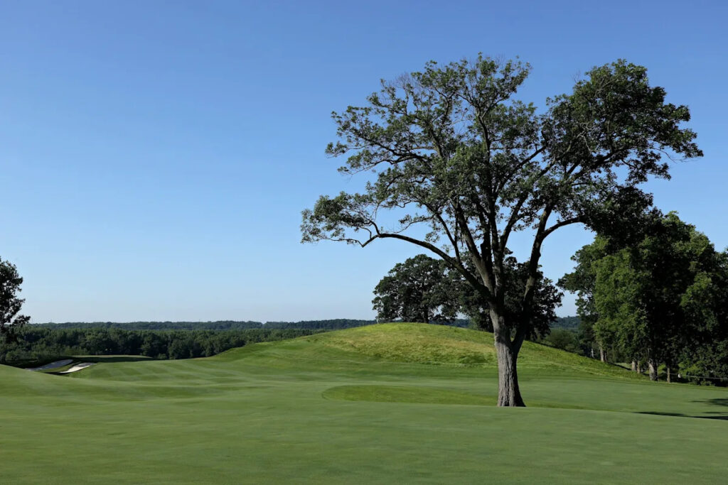 John Deere Classic’s 4th hole will play different this year after loss of huge tree