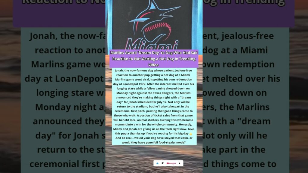 Secrets of the dog who missed a hot dog … now rewarded by Marlins!! #marlins