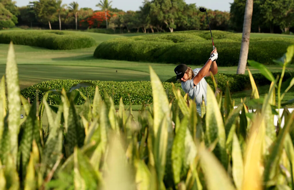 Corales Puntacana Championship field set (we think) after 16 players withdrew Corales Puntacana Championship field set (we think) after 16 players withdrew
