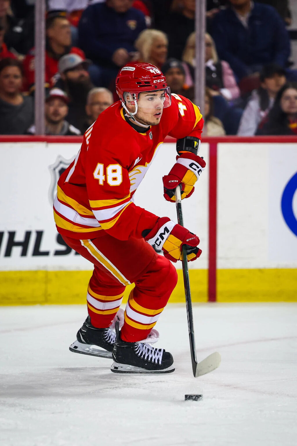 The Flames Have A Difficult Decision To Make With Hunter Brzustewicz The Flames Have A Difficult Decision To Make With Hunter Brzustewicz