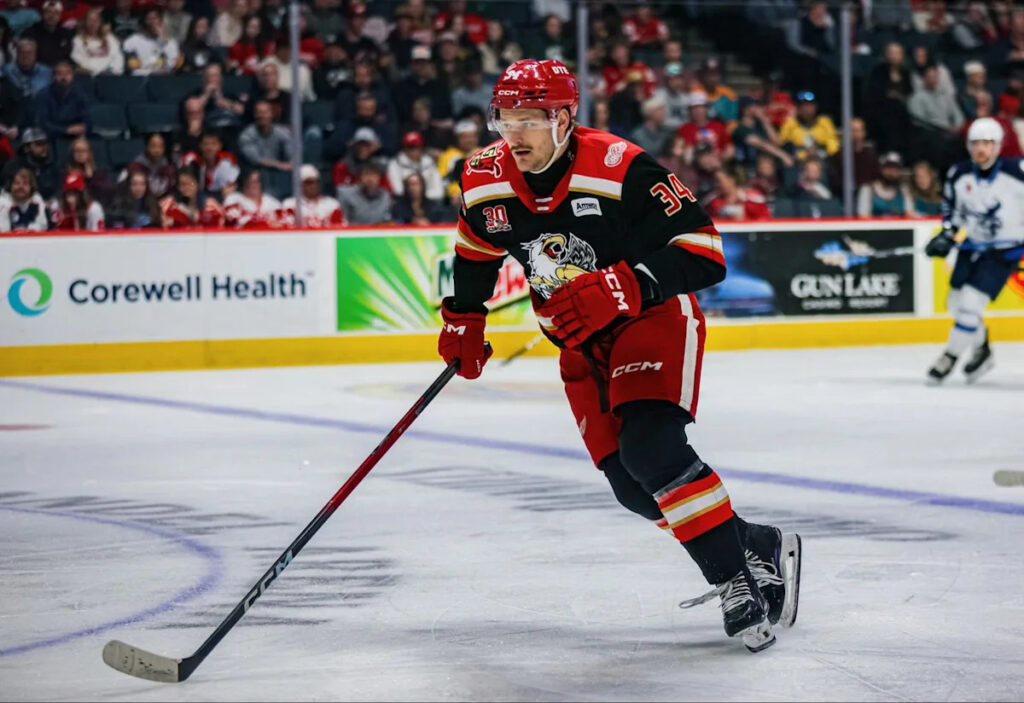 Red Wings AHL Standout May Finally Get NHL Chance With Western Conference Powerhouse