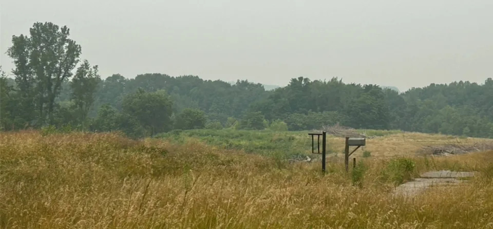 Nature is reclaiming Erie Golf Club, including the tee box for its par-five second hole (above). The 18-hole course has been dormant since its December 2024 purchase by Illinois resident Charles R. Van Eekeren.