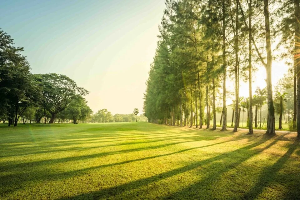 Scenery green golf and meadow with sunbeam in morning | Source: Getty Images