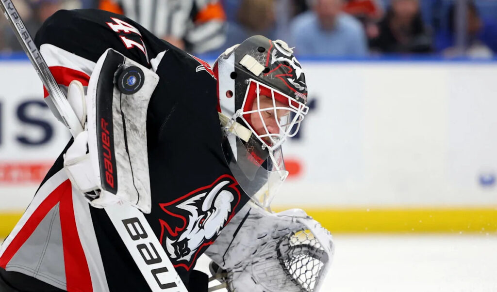 Former Sabres Netminder Among Top Free Agent Goalies Left