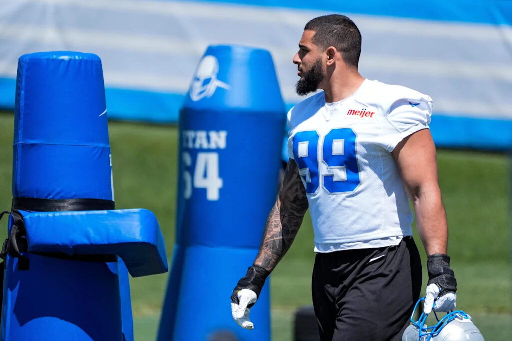 Tracking the Lions’ defensive roster bubble: Arise, Ahmed Hassanein