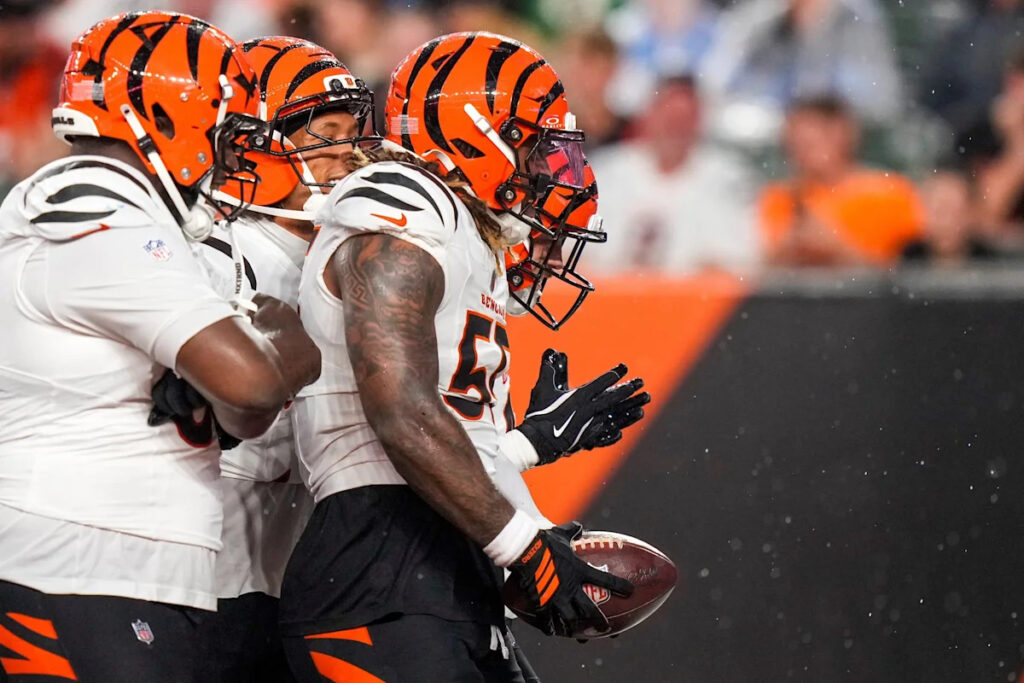 How the Bengals’ defensive rookies performed vs. the Lions How the Bengals’ defensive rookies performed vs. the Lions