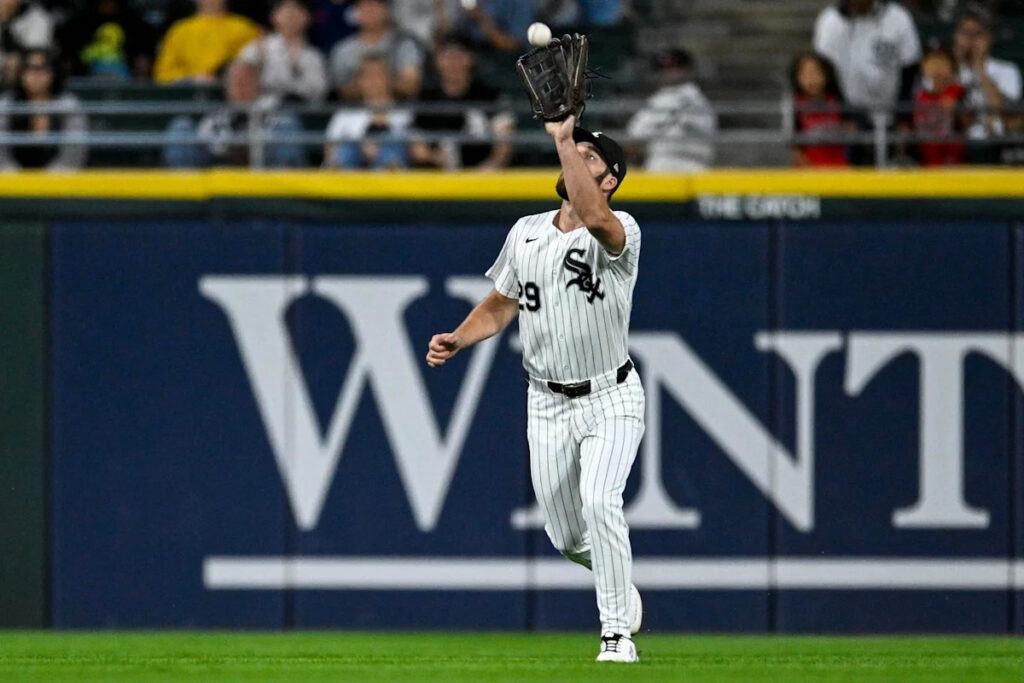 Is the White Sox D … a D? Is the White Sox D … a D?
