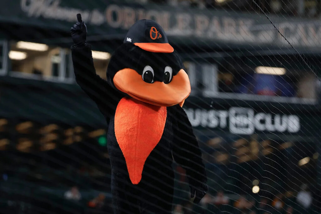 Orioles minor league recap 8/23: Baysox lone winner on the night