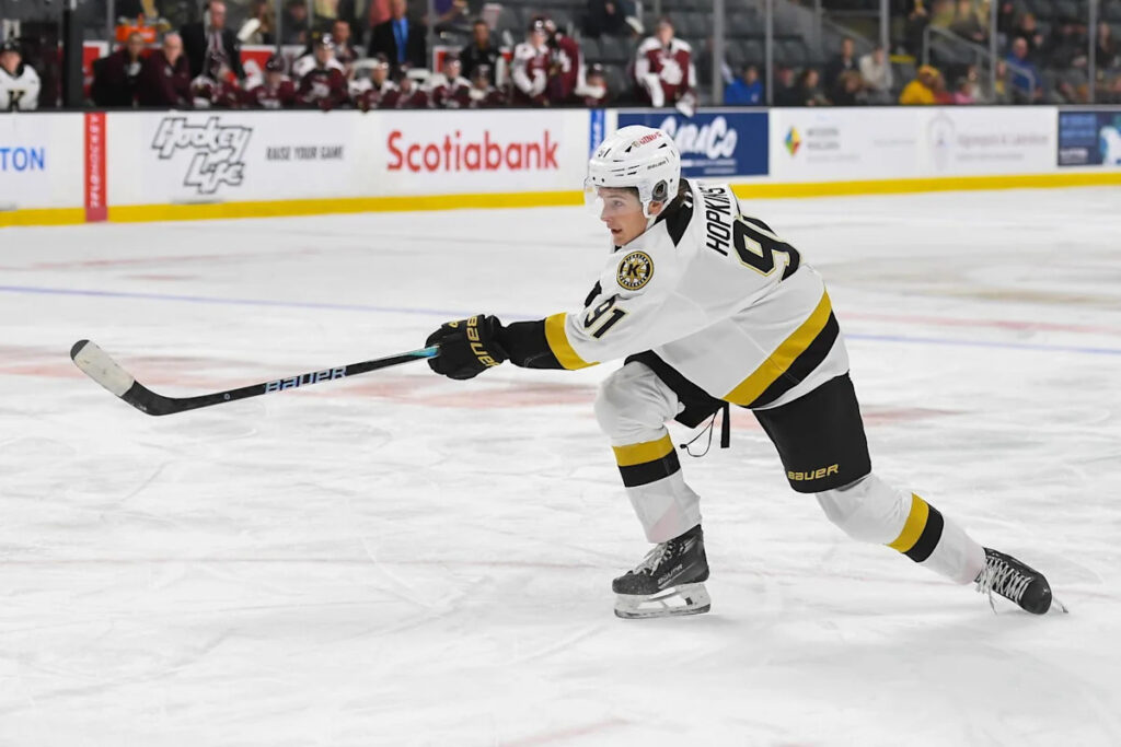 Maple Leafs NHL Prospect Ranking: No. 9, Tyler Hopkins