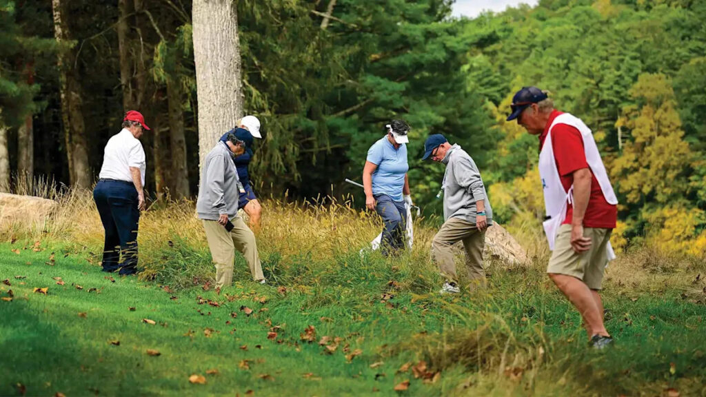 Are you required to search for your ball? Here’s what the rules say
