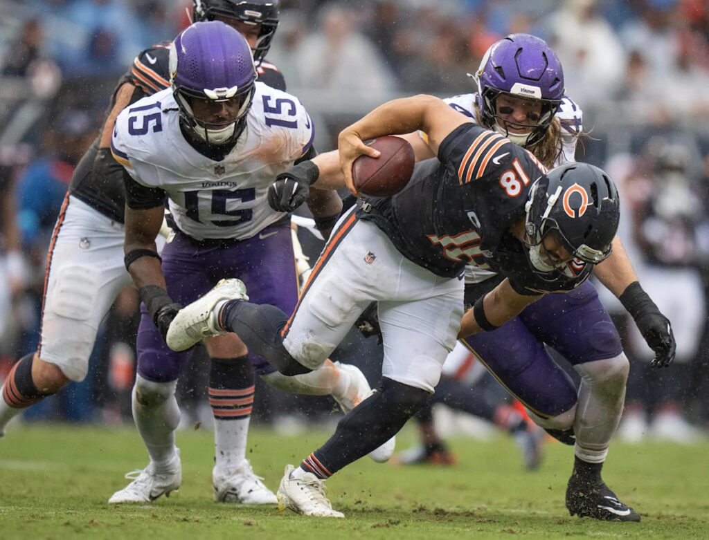 Vikes Views: Nincompoop of the Week – Vikings at Bears Vikes Views: Nincompoop of the Week – Vikings at Bears