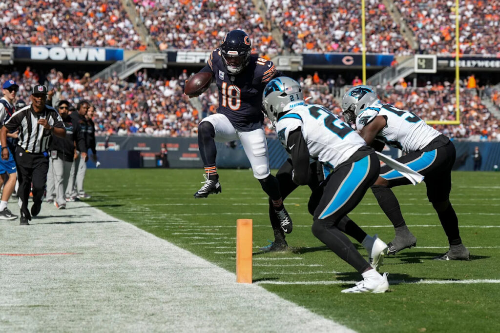 Chicago Bears vs. Carolina Panthers Game Picks and Predictions