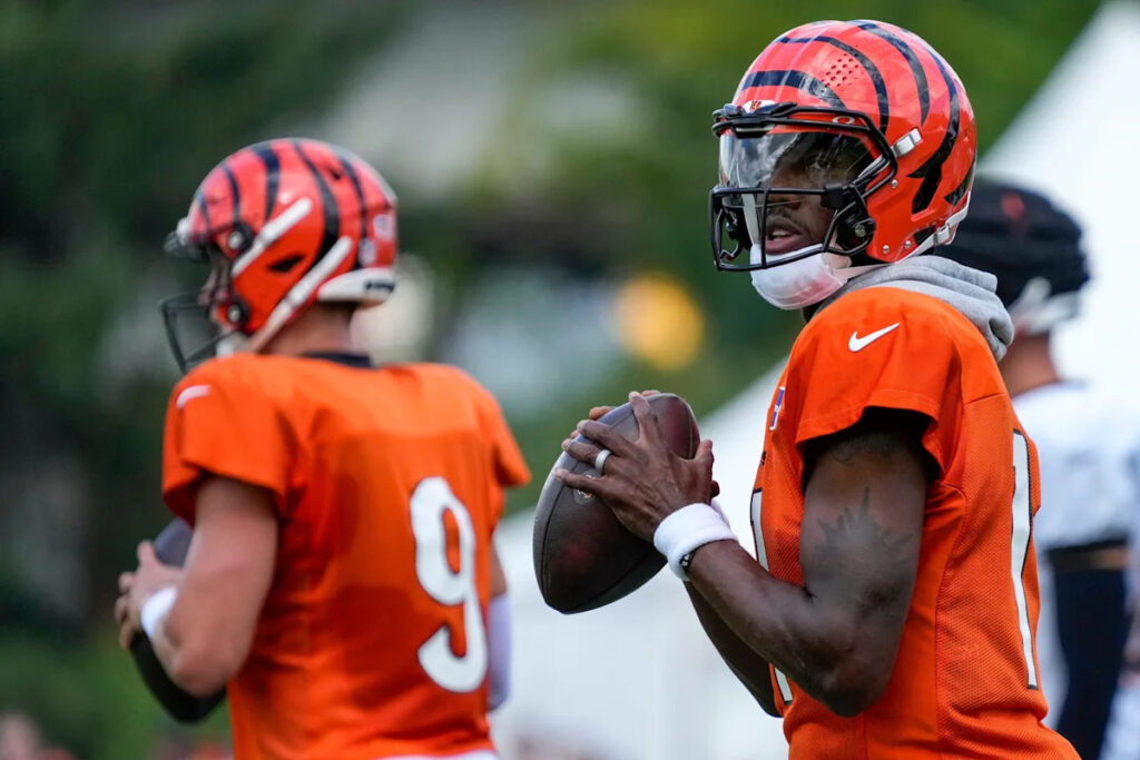 Bengals elevate QB Josh Johnson and LB Joe Giles-Harris ahead of Texans game