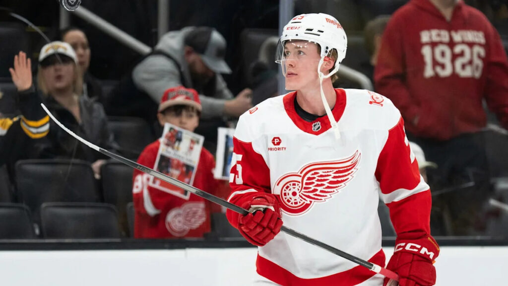 Injury To Jacob Bernard-Docker Opens Pathway For Other Young Red Wings Defenseman Injury To Jacob Bernard-Docker Opens Pathway For Other Young Red Wings Defenseman