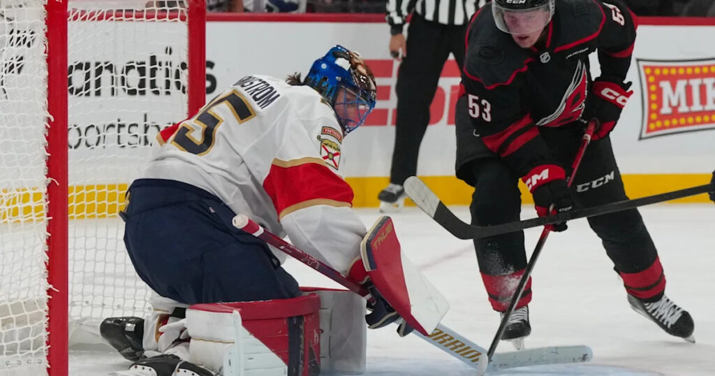 NHL winners and losers include Panthers goalie, Maple Leafs newcomers