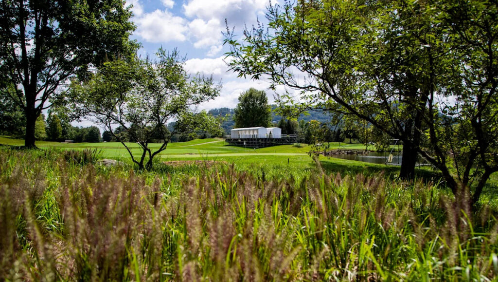 2026 Biltmore Championship Asheville leaderboard, live updates for Saturday’s Round 3